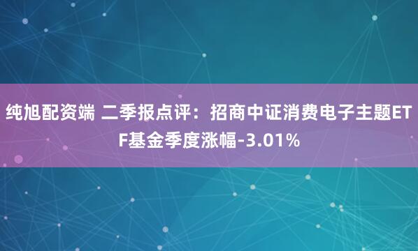 纯旭配资端 二季报点评：招商中证消费电子主题ETF基金季度涨幅-3.01%