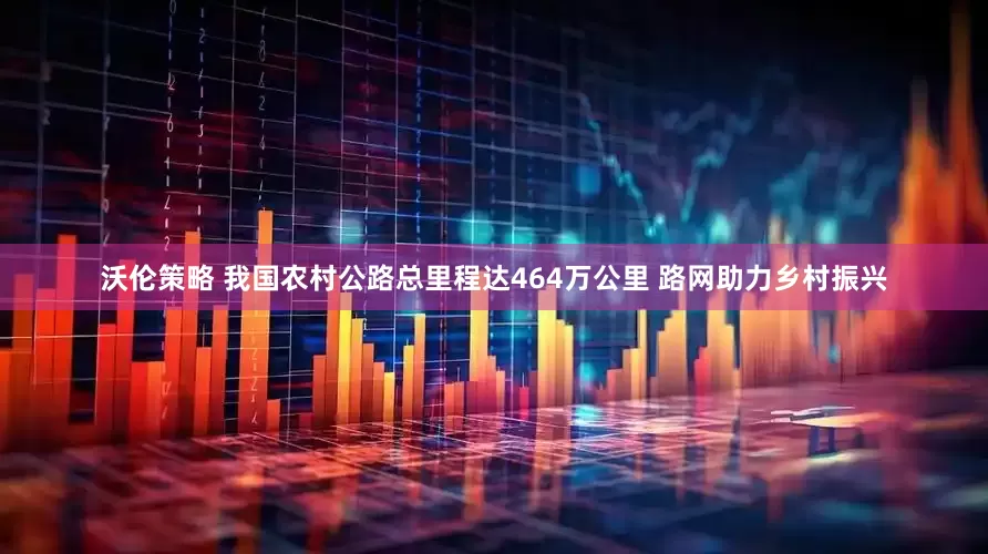 沃伦策略 我国农村公路总里程达464万公里 路网助力乡村振兴