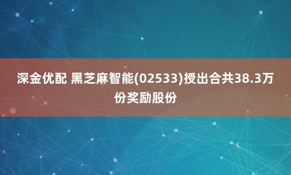 深金优配 黑芝麻智能(02533)授出合共38.3万份奖励股份